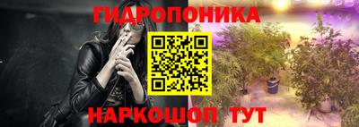 прущие крисы Можга