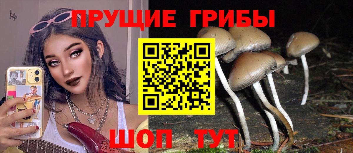 Галлюциногенные грибы Cubensis Амурск