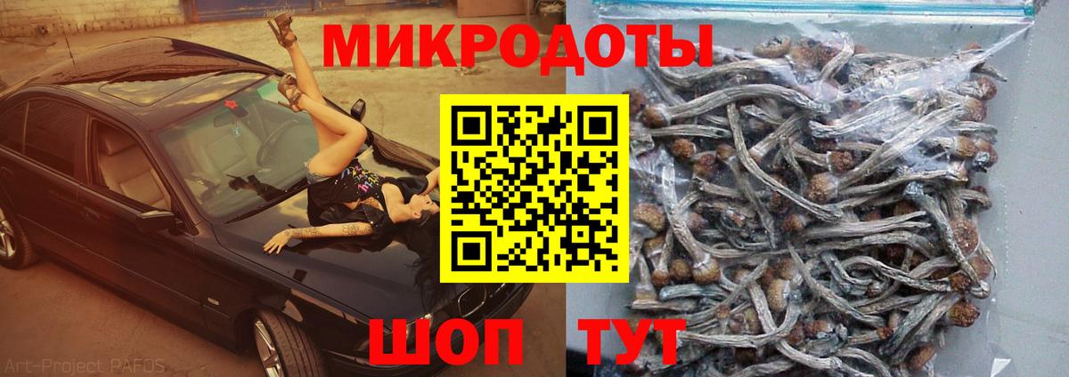 ТГК Амурск