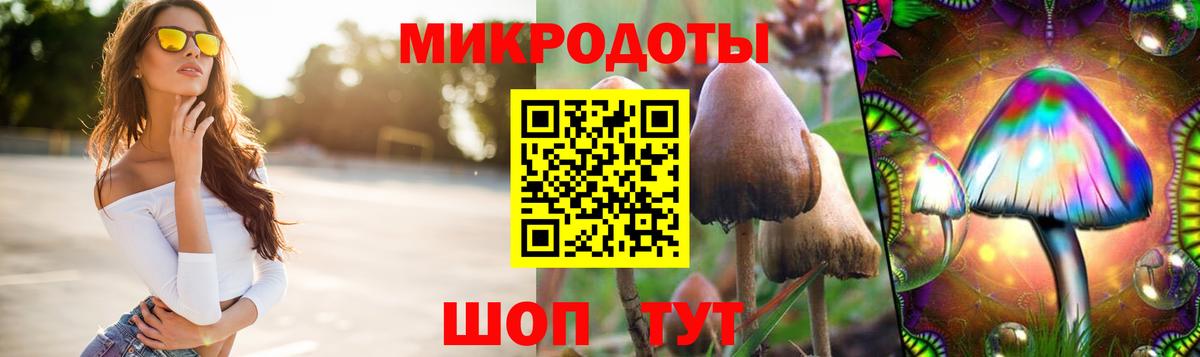 Галлюциногенные грибы MAGIC MUSHROOMS  Вход с VPN  Амурск 